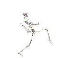 Animation - 053
